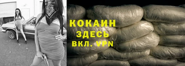 apvp Каменка