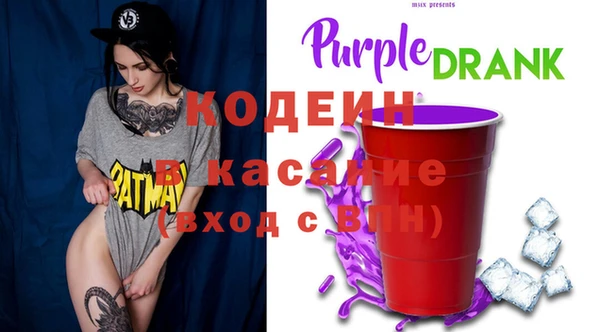 apvp Каменка