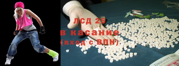 mdpv Каменногорск