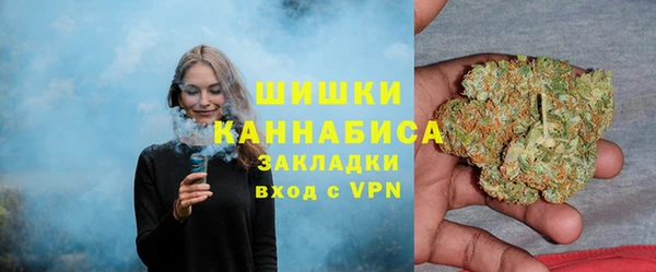 mdpv Каменногорск