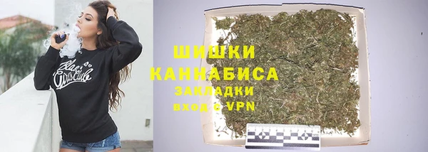 apvp Каменка