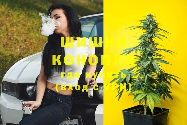 apvp Каменка