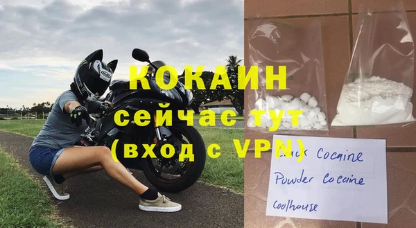 mdpv Каменногорск