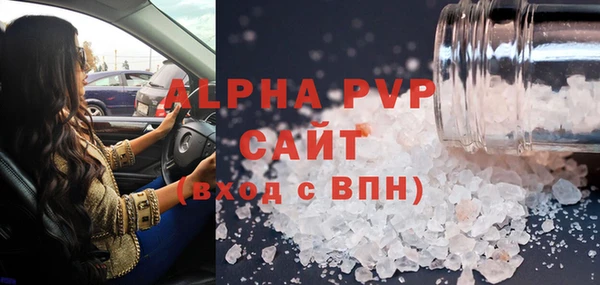 apvp Каменка