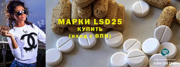 apvp Каменка