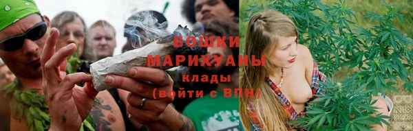 mdpv Каменногорск