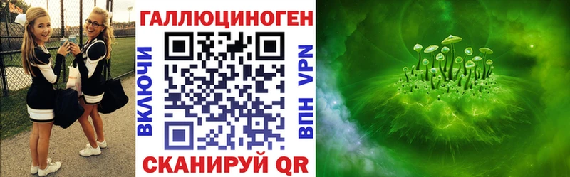 Купить где  Дмитриев  Галлюциногенные грибы MAGIC MUSHROOMS 